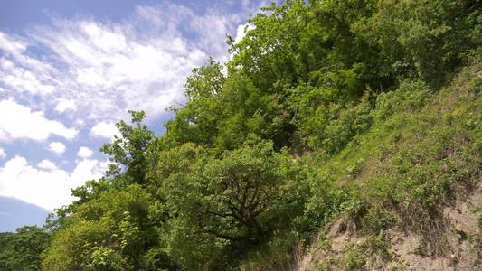 在一个多云的夏日里, 从车窗上欣赏山地景观积云和树木