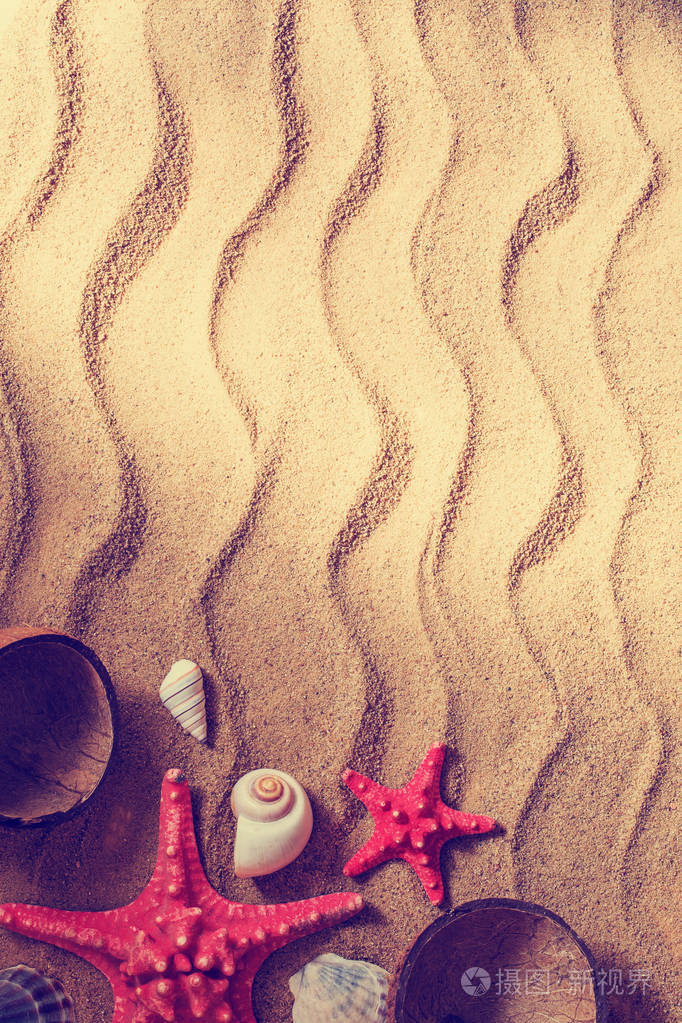 海星和沙滩配件在沙滩上的特写镜头