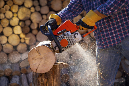电锯接近了伐木工人锯锯树与锯木厂.电锯在行动锯木头.