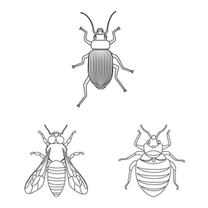 昆虫和飞行标志的矢量设计。收集昆虫和元素矢量图标的股票
