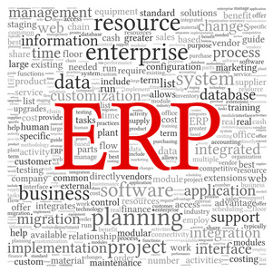 erp 在 word 标签云