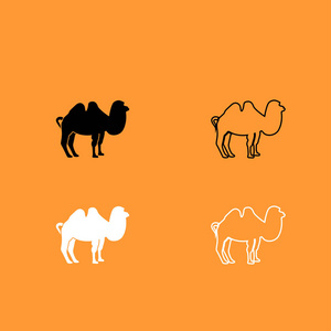 骆驼的黑色和白色设置图标