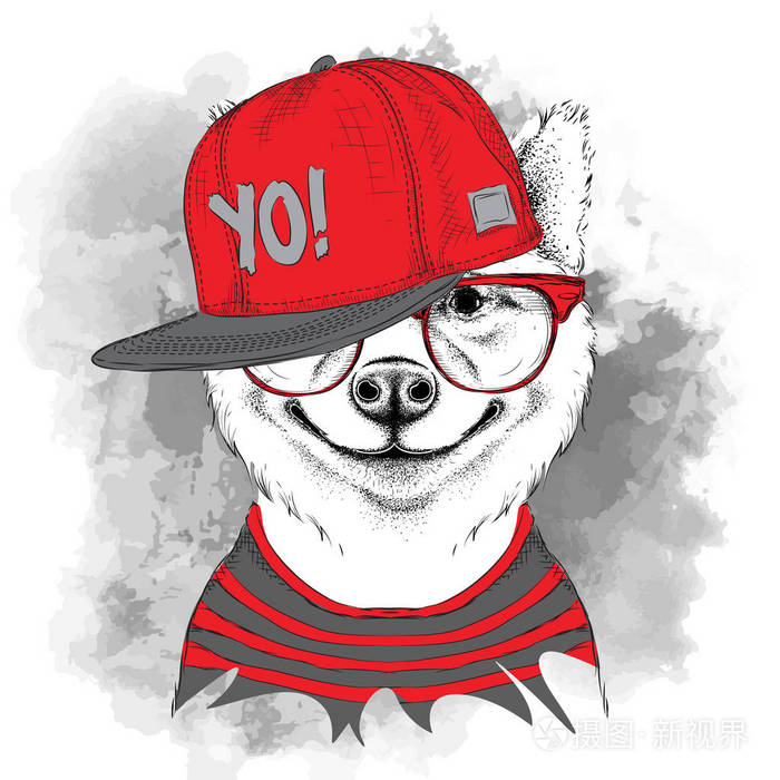 海报上的sakita犬狗肖像在hiphop帽子矢量插图