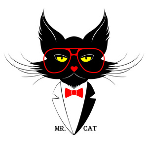 猫先生图片 猫先生素材 猫先生插画 摄图新视界