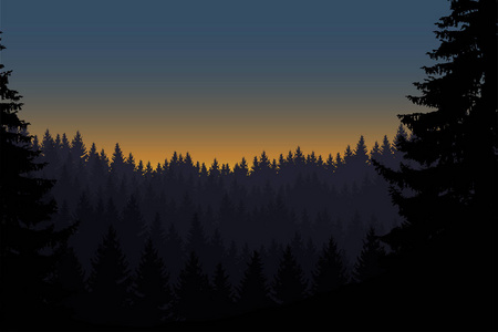 与初升的太阳在清晨的天空下的森林景观的矢量插图
