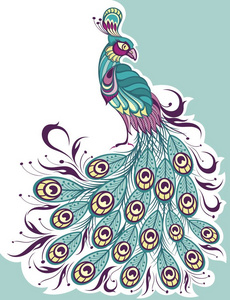 孔雀动物孔雀, 素描向量.动物野生动物插画照片
