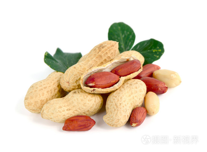 在白色背景上的花生