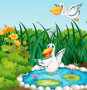 一个池塘与鸭