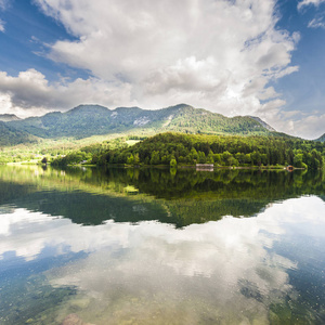 奥地利风景与森林草甸领域和牧场周围湖 Grunlsee 在阿尔卑斯的背景上