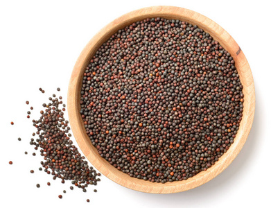 油菜种子在白色背景查出的干油菜籽种子照片