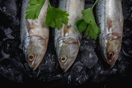 在黑暗的背景下在冰上的新鲜鲭鱼关闭海鲜市场