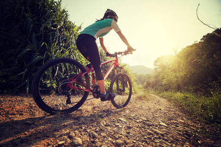 在晴朗的天气在岩石小径骑山地自行车的妇女骑车人