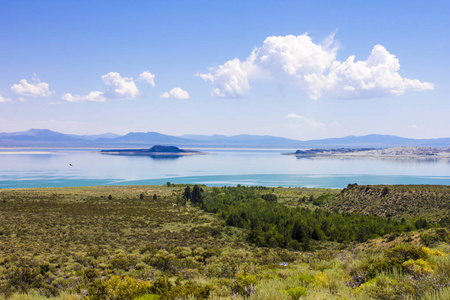 单湖, 一个大的, 浅盐水苏打湖, 加利福尼亚州, 与钙华岩层