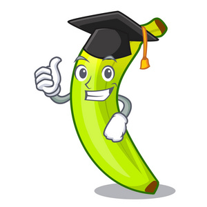 毕业性格天然水果鲜绿色香蕉