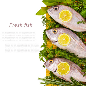 新鲜海水鱼和被隔绝在白色背景上的黄色垫上新鲜草药和蔬菜谎言包围