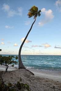 海滩蓬塔卡纳, 度假胜地。多米尼加共和国