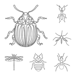 昆虫和苍蝇的孤立对象图标。昆虫和元素存量矢量图的采集