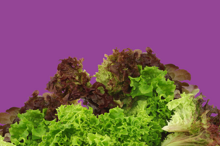 什锦的生菜照片