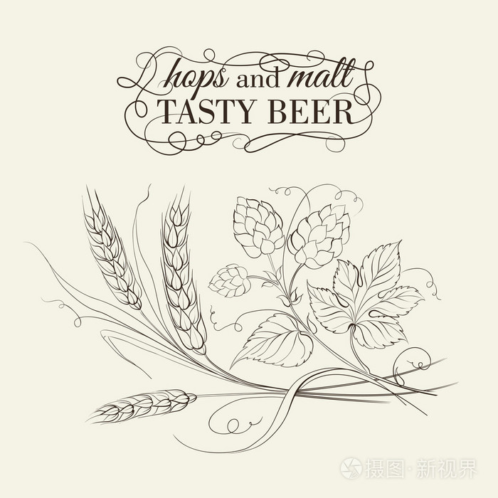 小麦和棕褐色跃点