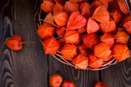 秋季背景。明亮的橙色酸浆浆果的褐色木质背景。秋季假期和感恩节的背景