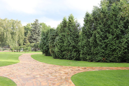 绿色的草坪和生长的灌木.美丽的自然石路径公园照片