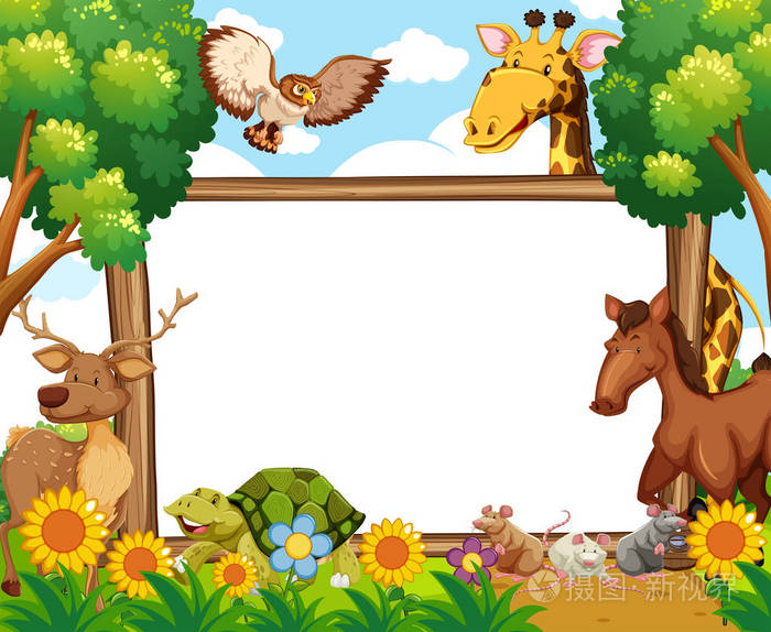 森林中的动物白板