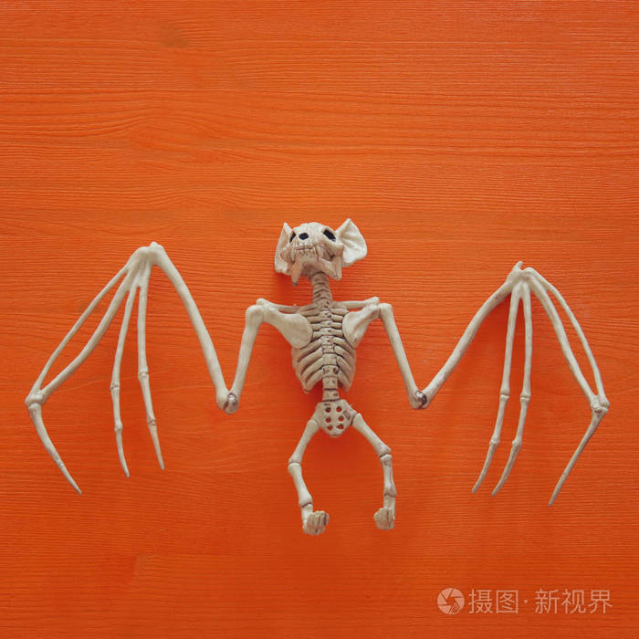 万圣节假期最小的顶部视图蝙蝠骨架的橙色木质背景图像