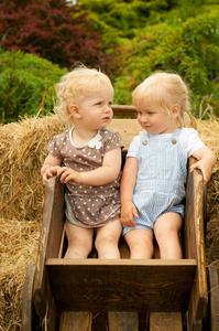 两个可爱的金发女郎坐在一辆木车里, 四周是大自然的干草。