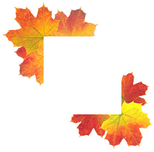 秋天叶子作为框架在白色背景