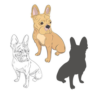 纯种狗在三不同的风格手绘素描,南港