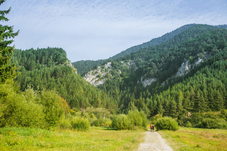 在斯洛伐克低 Tatra 地区的一条美丽的徒步小径。在山和森林中行走的道路。夏季景观