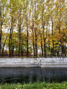 路沿 Naviglio 格兰德别墅在 Robecco