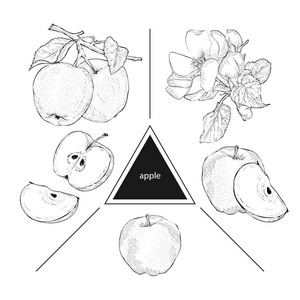 绿色春天 新鲜水果 明亮季节