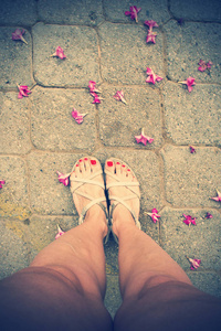 在花的人行道上的女性脚。色调