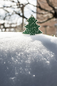 木绿色圣诞树在雪。阳光灯