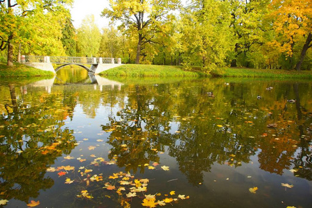 在一个秋天的早晨, 在亚历山大公园国立 Selo, 一座小桥散步