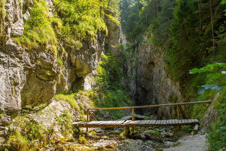 在斯洛伐克低 Tatra 地区的一条美丽的徒步小径。在山和森林中行走的道路。夏季景观