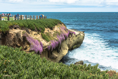 La Jolla 海岸圣地亚哥