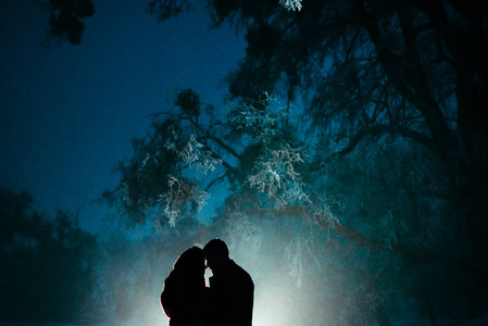 在夜间森林的灯光背景下, 一对敏感的情侣站在一起的剪影照片