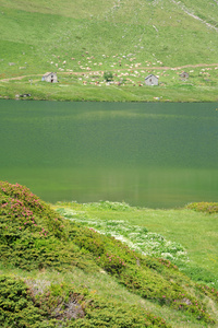 在瑞士的阿尔卑斯山中湖 cadagno