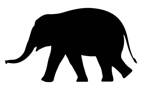 剪影大象在白色背景。矢量插图