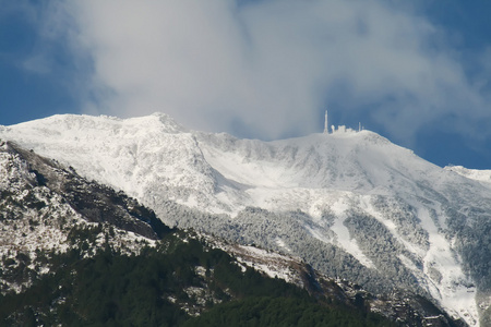 雪山景观 松仁