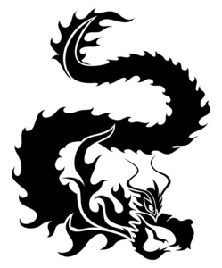 白底黑色龙照片