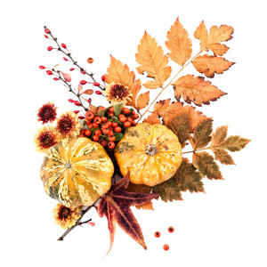 树叶浆果花朵和南瓜的秋天装饰