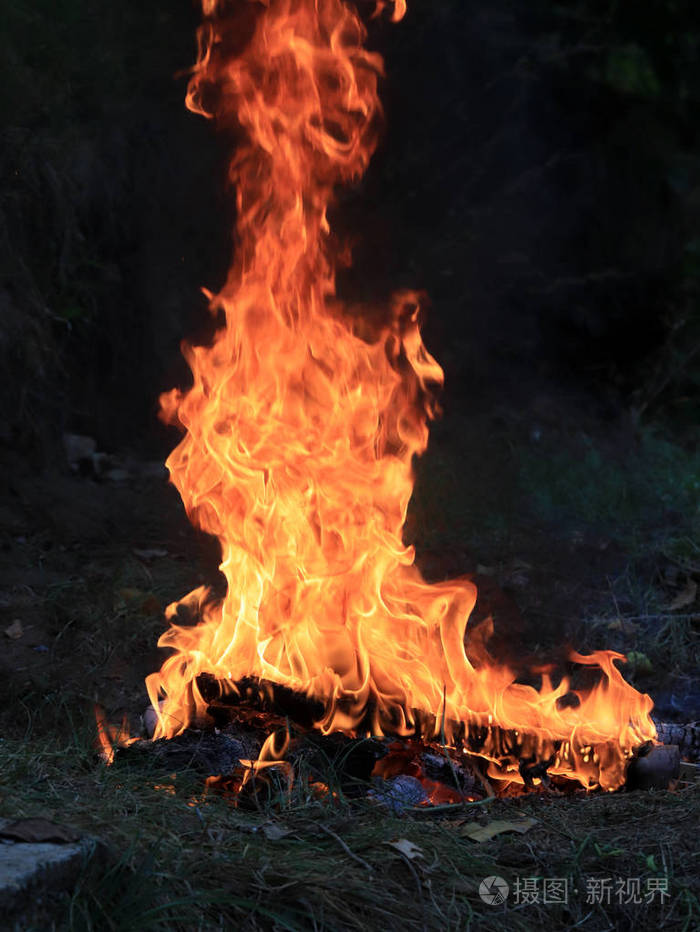 干燥季节野火火的明亮火焰照片-正版商用图片06fyz9-摄图新视界