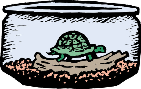 海龟在陆地培养碗的木刻插图