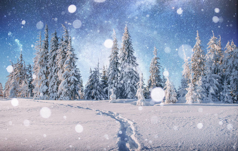 除夕雪在冬雪的夜空中繁星闪烁.梦幻般的银河在除夕夜.