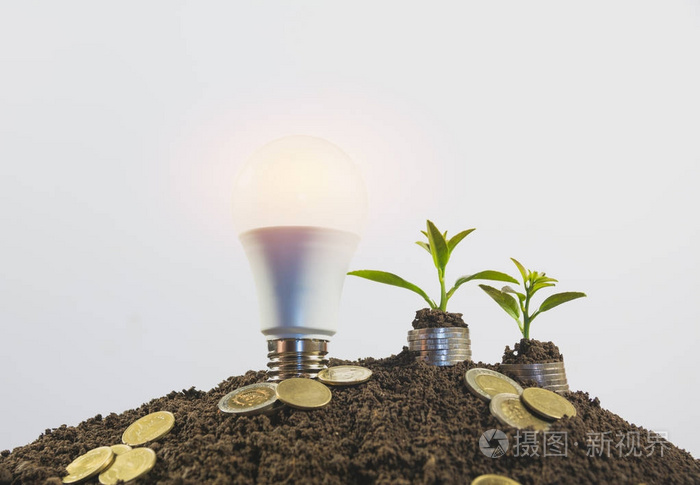 节能灯泡和树生长在白色背景上的硬币栈。储蓄会计和财务概念