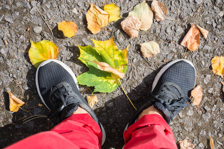 腿在黑色运动鞋和红色长裤在沥青与秋天叶子