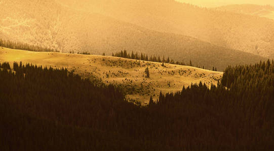 在喀尔巴阡山的日出。针叶林与绿边